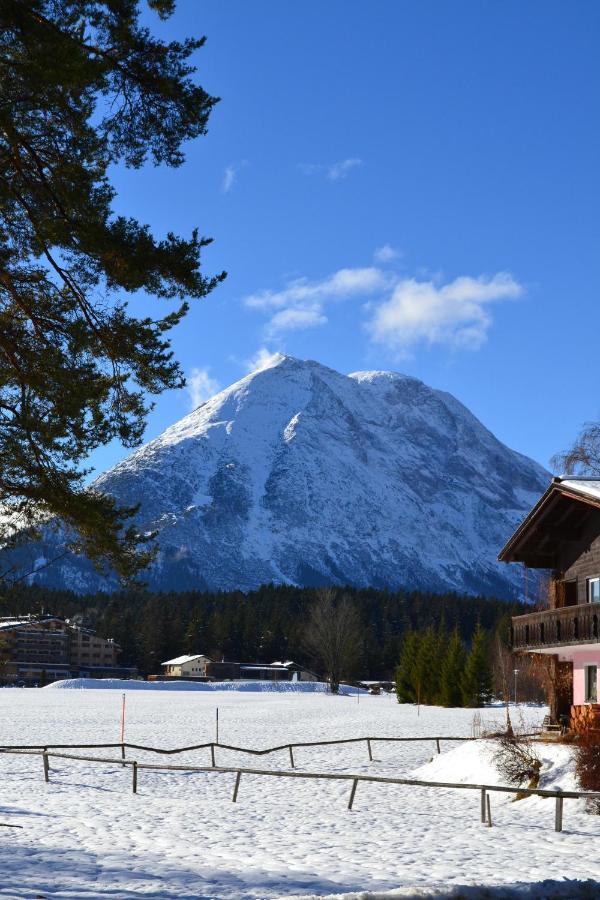 Apartament Andys Bergblick Leutasch Zewnętrze zdjęcie